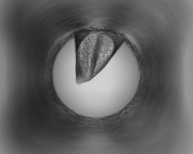 X0000094380920200711162127