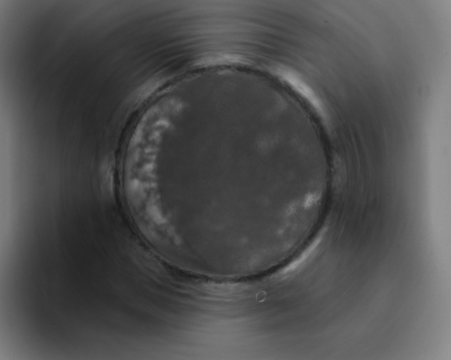 X0000094380921200711162127