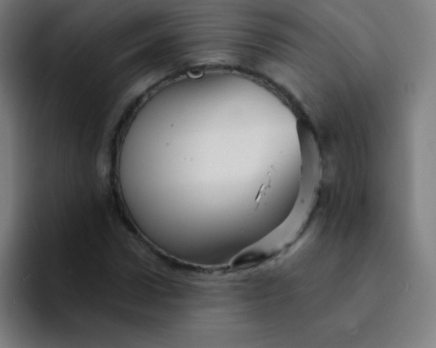 X0000094380922200711162127