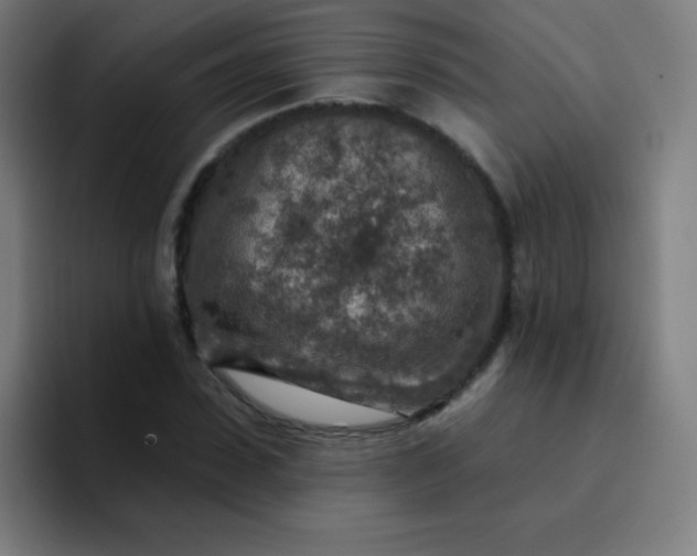 X0000094380923200711162127