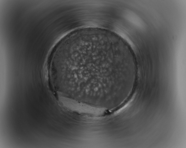 X0000094380925200711162127
