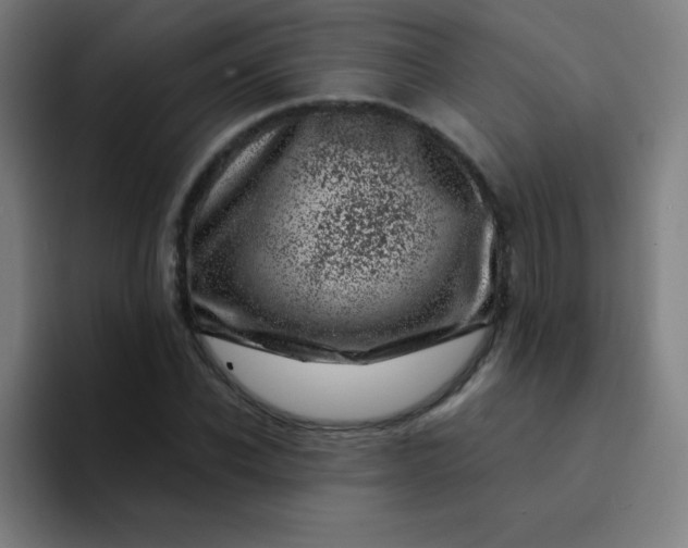 X0000094380926200711162128