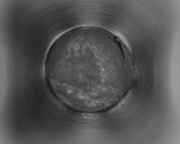 X0000094380928200711162128