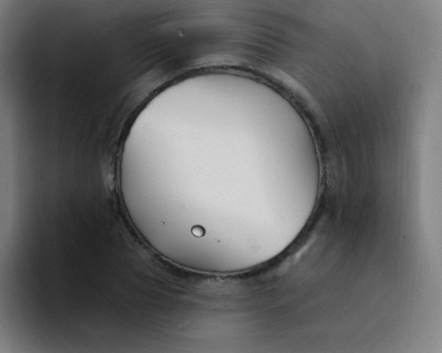 X0000094380929200711162128