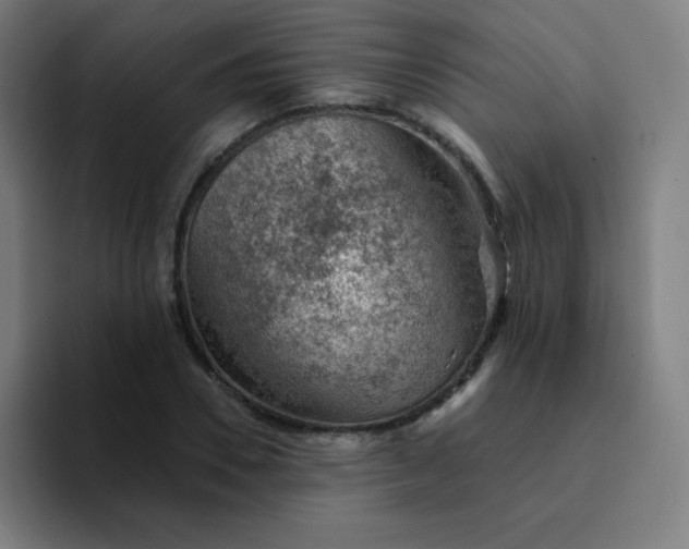 X0000094380930200711162128