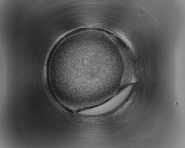 X0000094380932200711162128