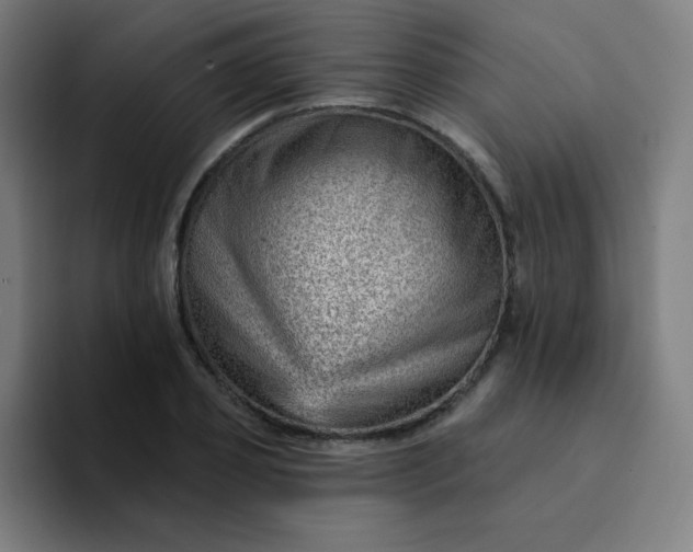 X0000094380933200711162128