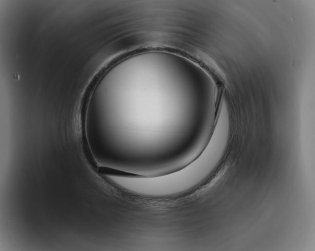 X0000094380934200711162128