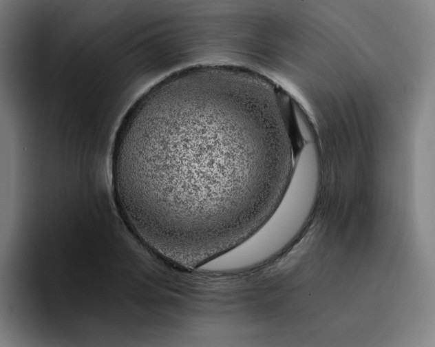 X0000094380935200711162128