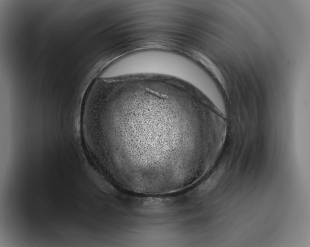 X0000094380938200711162128