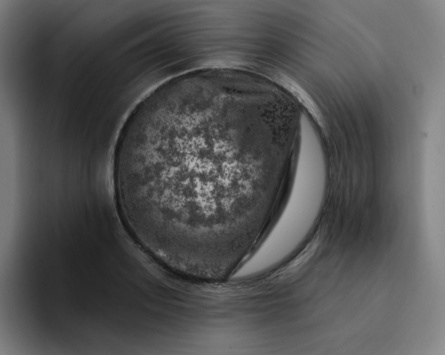 X0000094380939200711162128