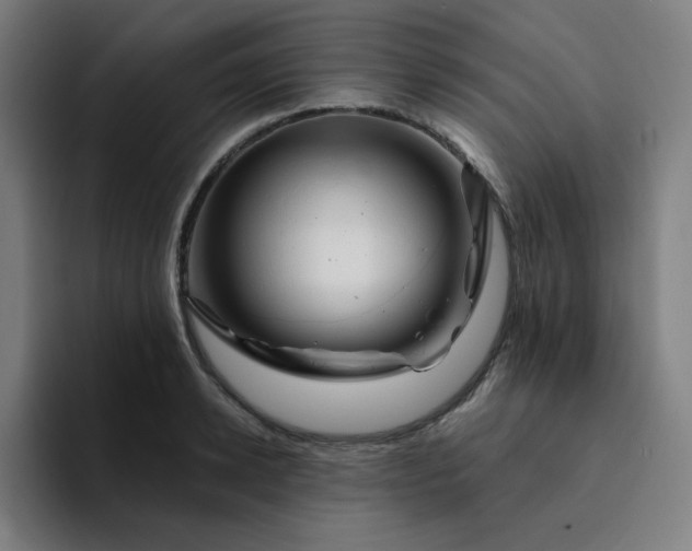 X0000094380942200711162128