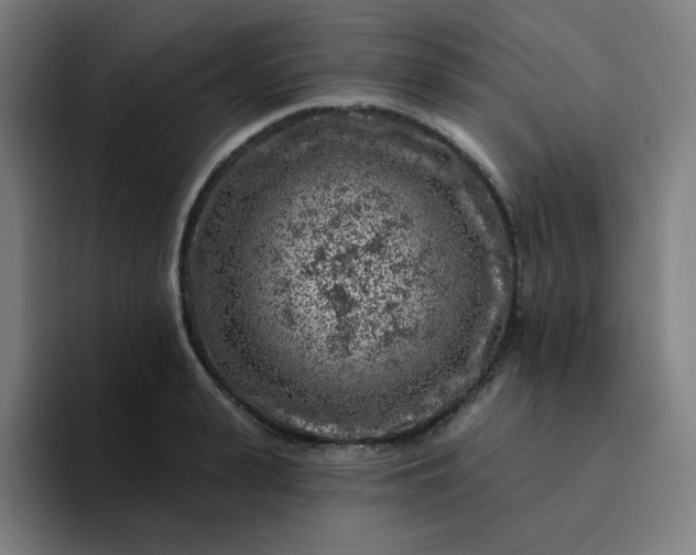 X0000094380943200711162128