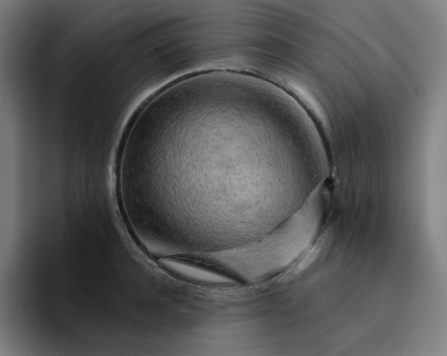 X0000094380944200711162128