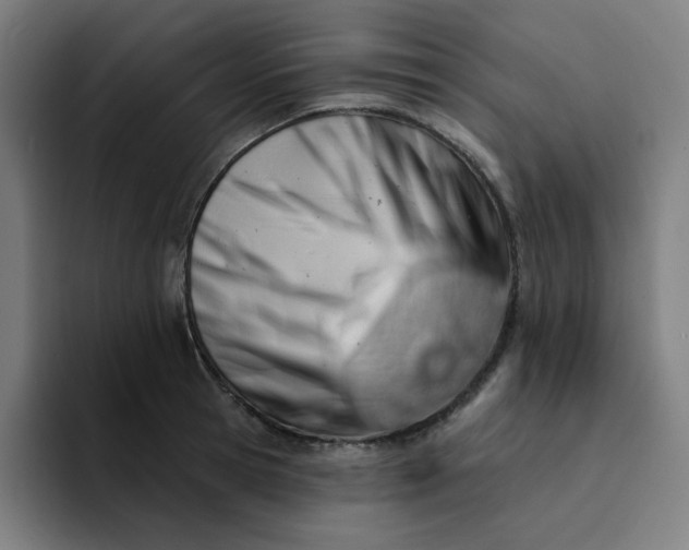 X0000094380945200711162128