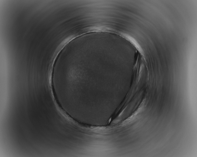 X0000094380946200711162128