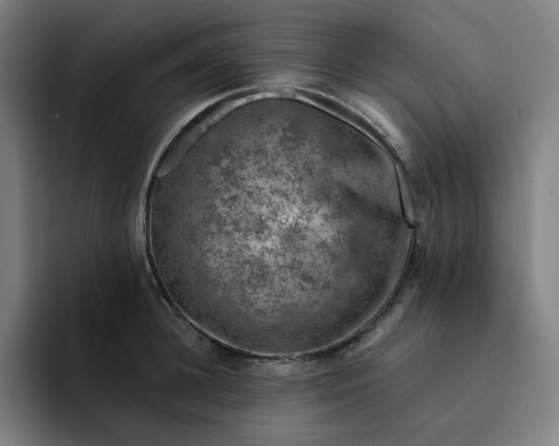 X0000094380948200711162128