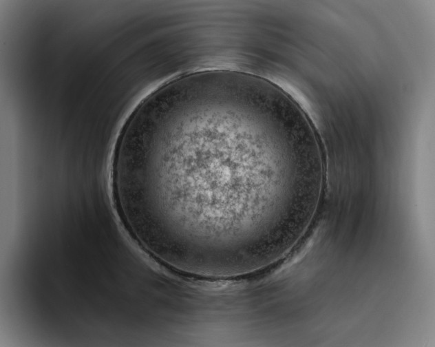 X0000094380949200711162128