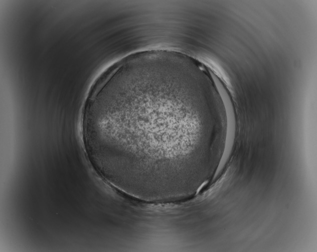 X0000094380952200711162128