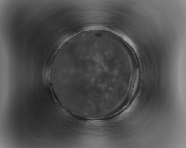 X0000094380953200711162128