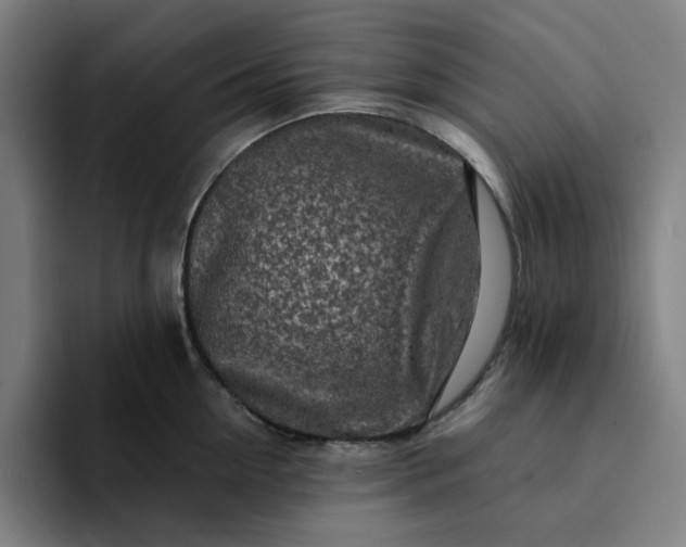 X0000094380954200711162128