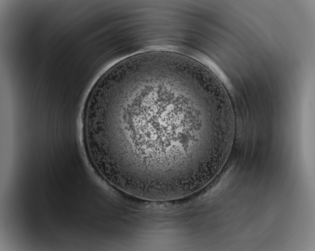 X0000094380955200711162128