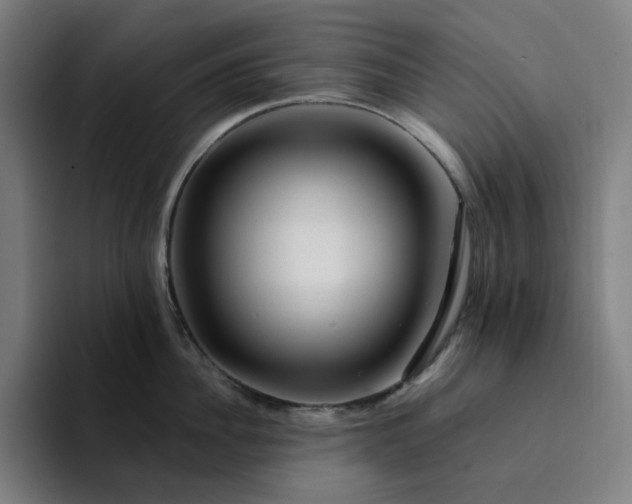 X0000094380956200711162128