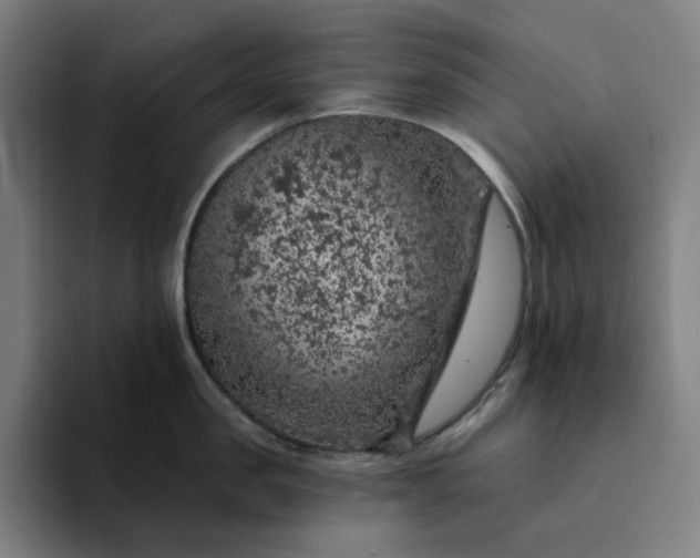 X0000094380957200711162128