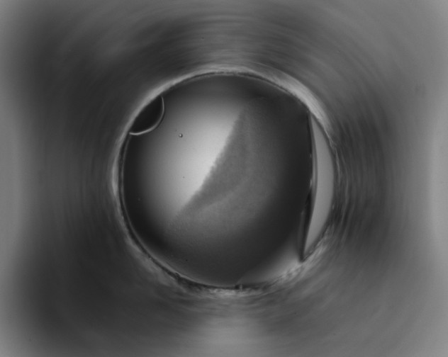 X0000094380958200711162128