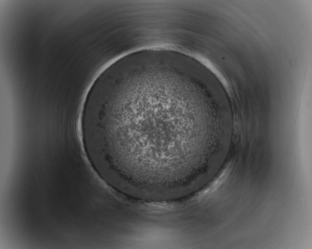 X0000094380959200711162128