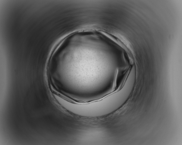 X0000094380960200711162128