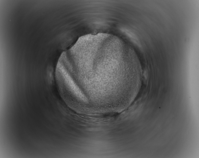X0000094380963200711162127