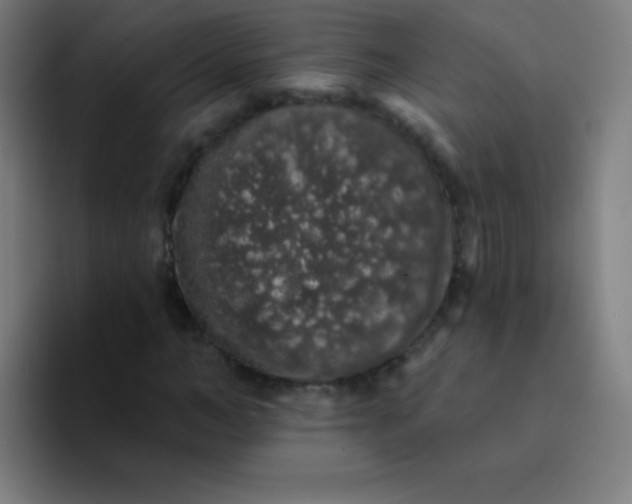 X0000094380966200711162127