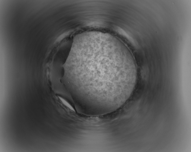 X0000094380968200711162127