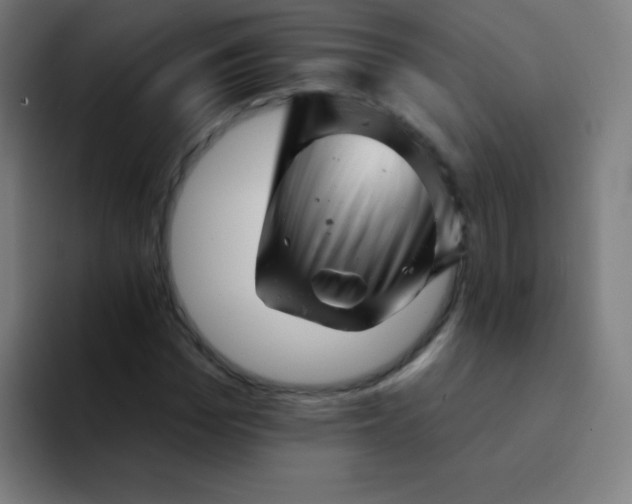 X0000094380969200711162127