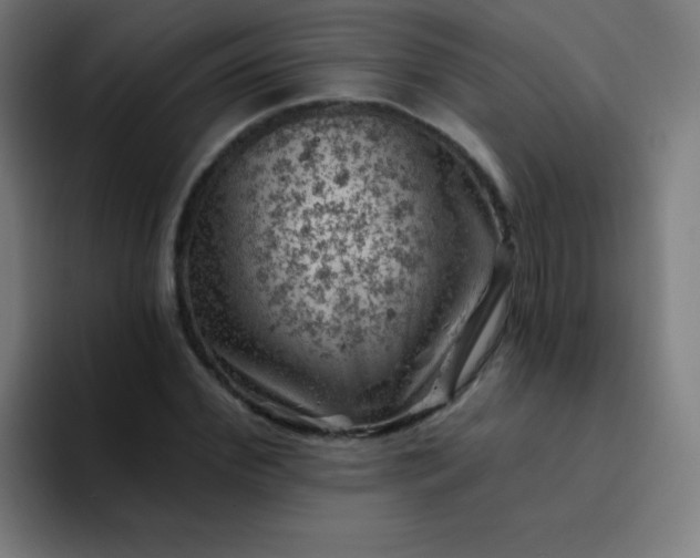 X0000094380972200711162127