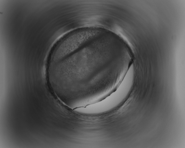 X0000094380975200711162127