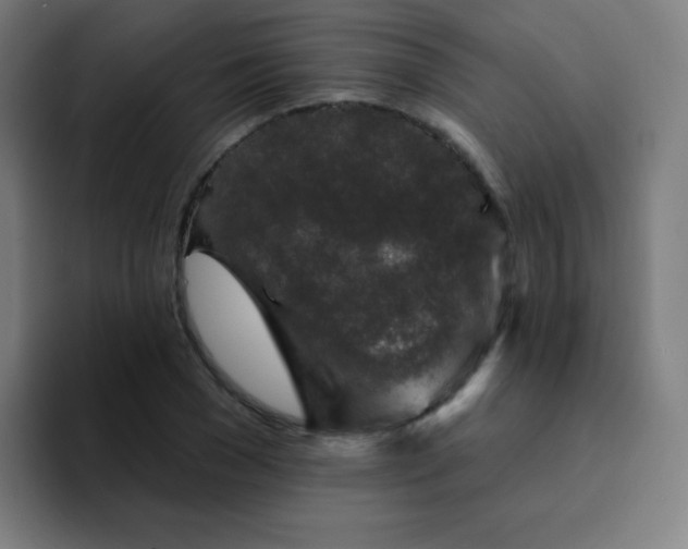 X0000094380977200711162127