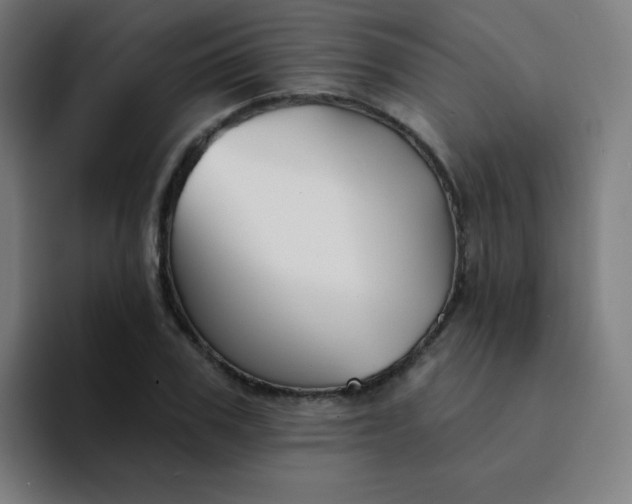 X0000094380979200711162127