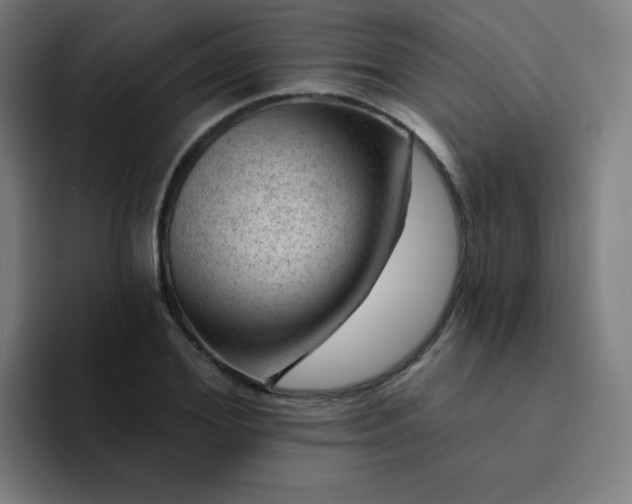 X0000094380980200711162127