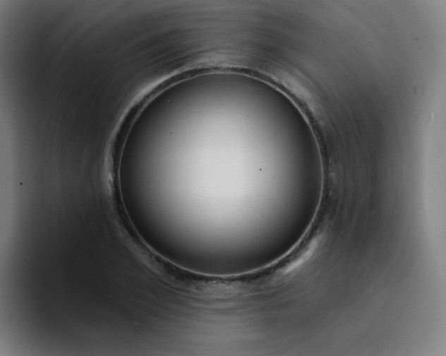 X0000094380981200711162127