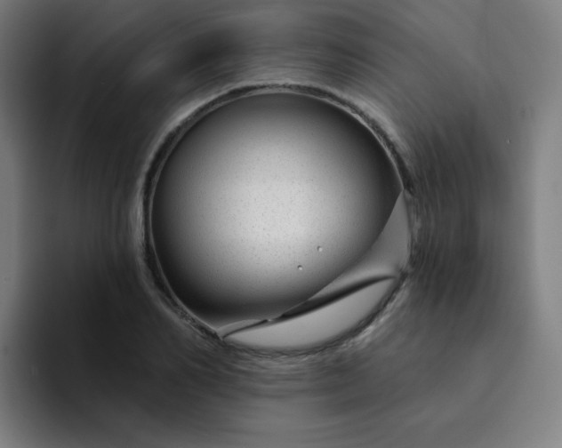 X0000094380982200711162127