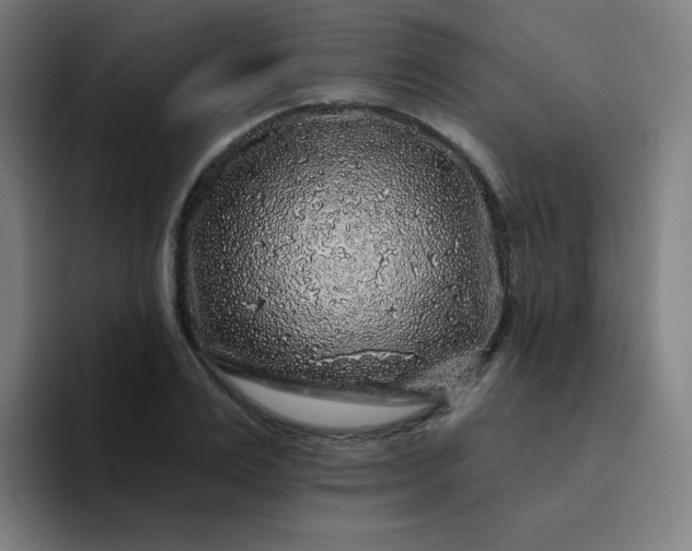 X0000094380983200711162127