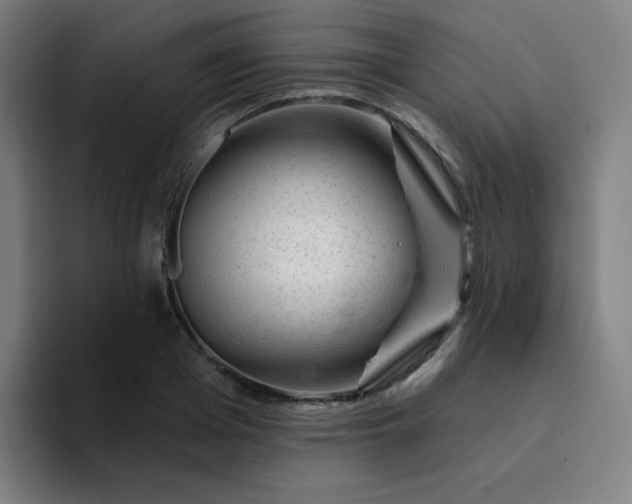 X0000094380985200711162127