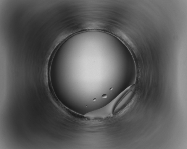 X0000094380986200711162127