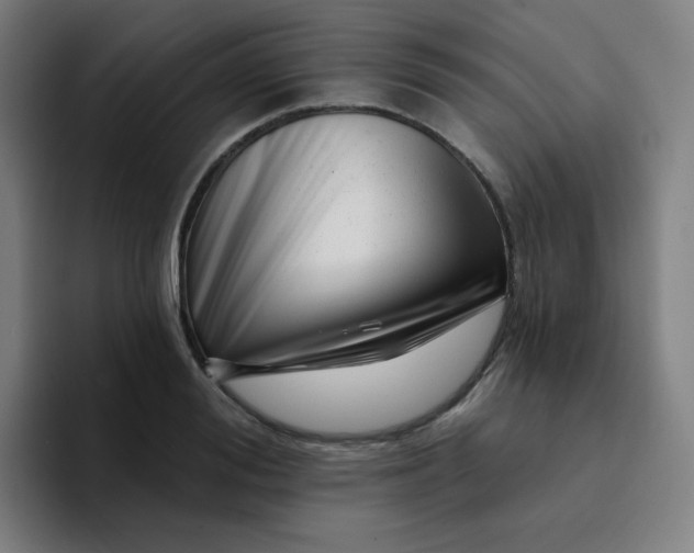 X0000094380988200711162127