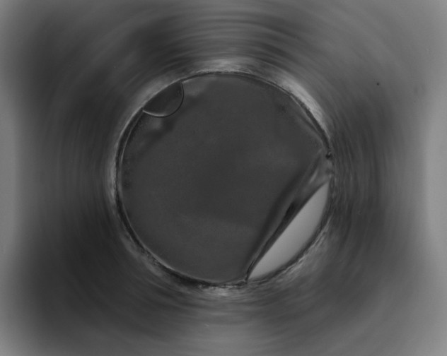 X0000094380994200711162127
