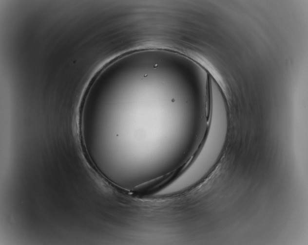 X0000094380996200711162127