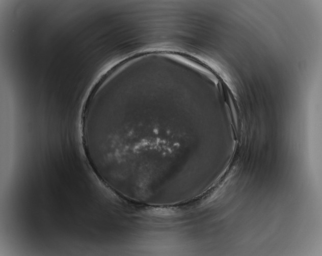 X0000094380998200711162127