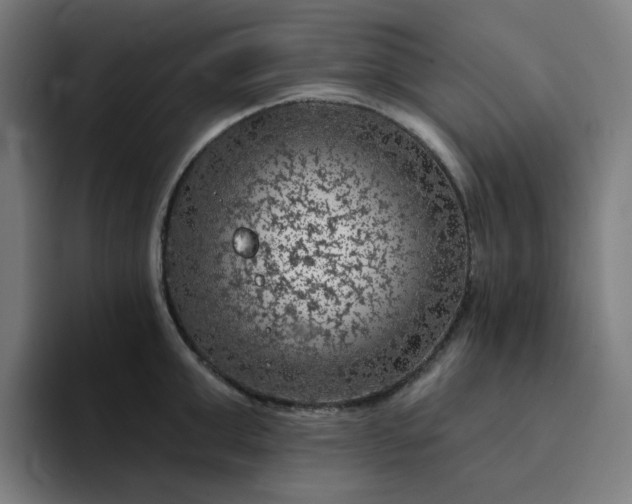 X0000094380999200711162127